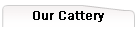 Our Cattery